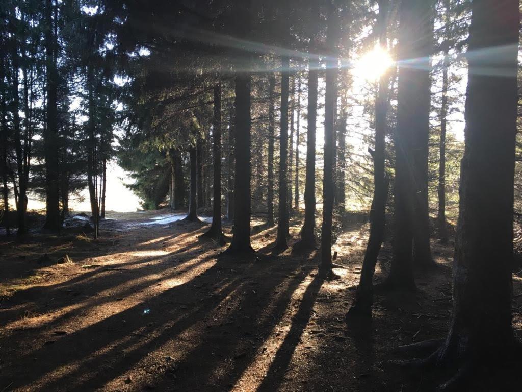 Apartmany Forest Kovářská 外观 照片